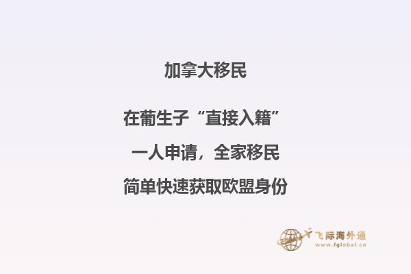 加拿大聯(lián)邦技術(shù)移民費(fèi)用！與投資移民相比，竟然這要這么點(diǎn)！