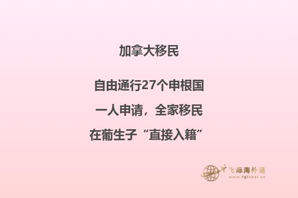 移民加拿大失敗原因，不要再犯這些錯誤了！