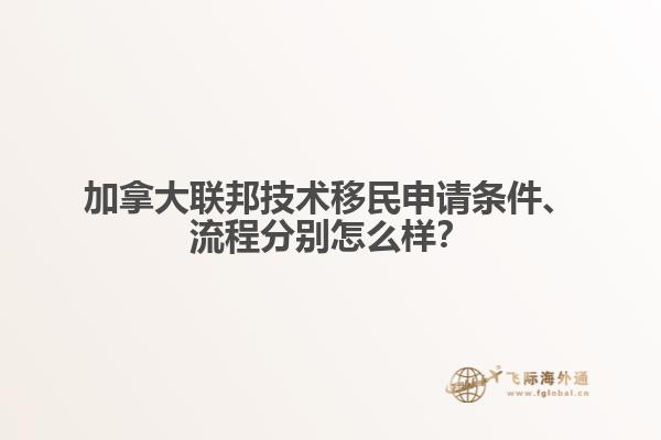 加拿大聯(lián)邦技術(shù)移民申請條件、流程分別怎么樣？