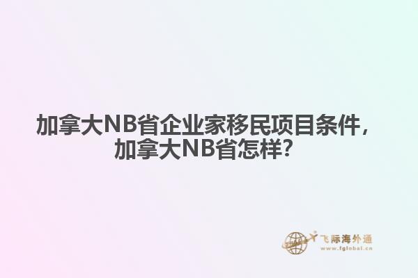 加拿大NB省企業(yè)家移民項目條件，加拿大NB省怎樣？