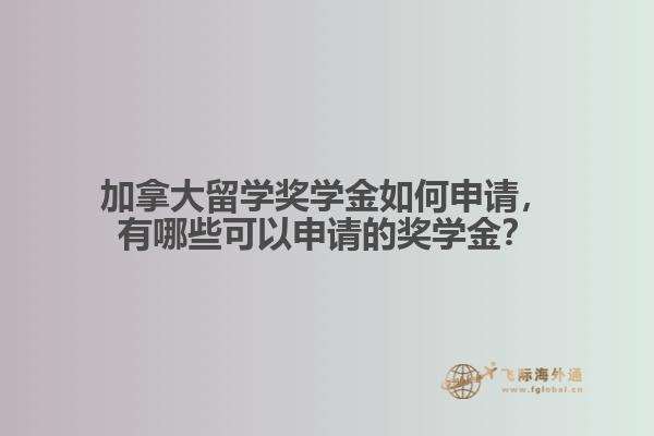 加拿大留學獎學金如何申請，有哪些可以申請的獎學金？