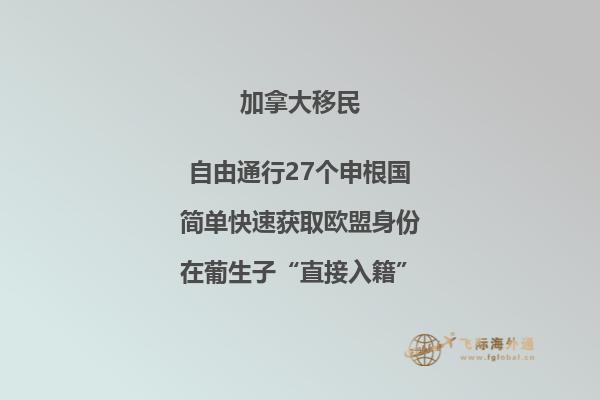 加拿大留學獎學金如何申請，有哪些可以申請的獎學金？