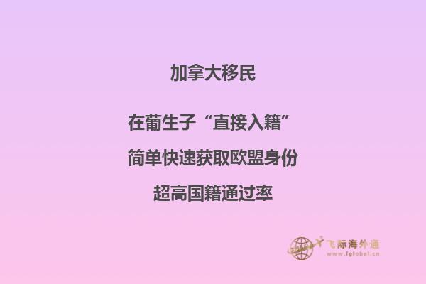 加拿大魁省投資移民需要多少錢，移民政策是什么？