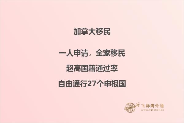 加拿大移民去美國工作可以嗎？本文告訴你答案！