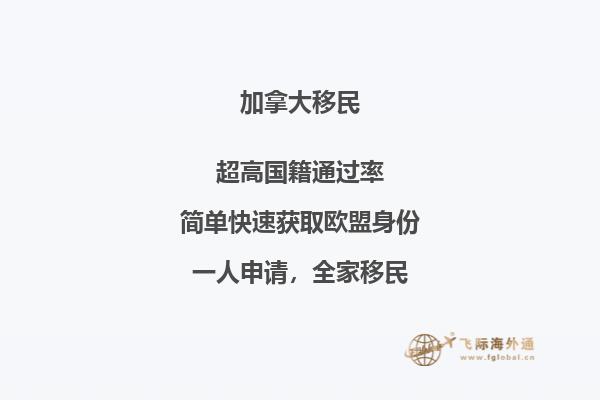 加拿大NB省企業(yè)家移民申請條件，優(yōu)勢怎么樣？