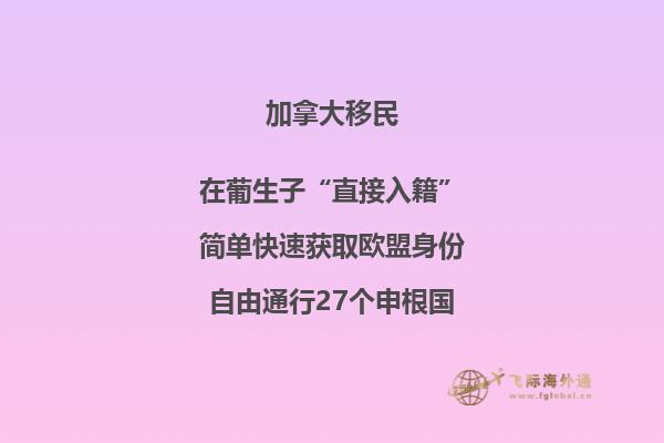 加拿大安省技術(shù)移民項目，哪種方式更適合你？