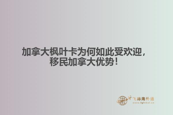 加拿大楓葉卡為何如此受歡迎，移民加拿大優(yōu)勢！