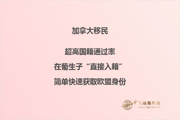 加拿大投資移民大盤點，你最中意哪個？