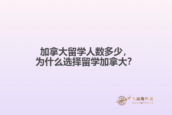 加拿大留學(xué)人數(shù)多少，為什么選擇留學(xué)加拿大？