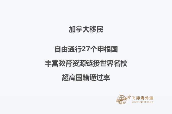 加拿大留學簽證拒簽率高嗎，如何提高成功率？