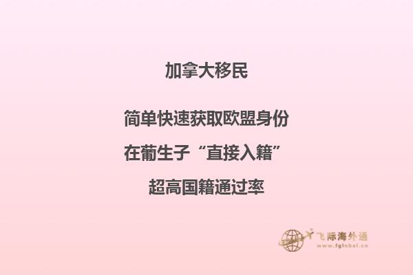 加拿大安省留學(xué)移民條件，流程怎么樣？