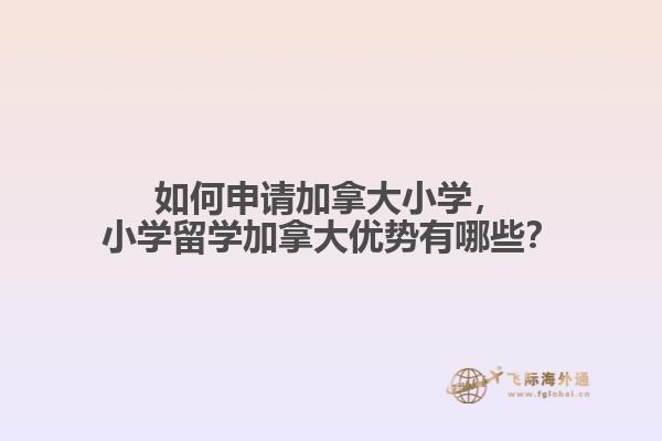 如何申請加拿大小學(xué)，小學(xué)留學(xué)加拿大優(yōu)勢有哪些？