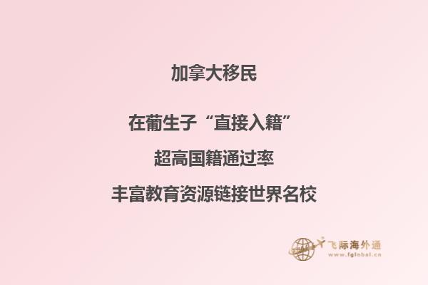 加拿大護(hù)照回中國要簽證嗎，為什么需要擔(dān)保人？