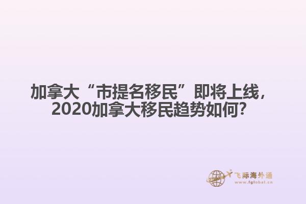 加拿大“市提名移民”即將上線，2020加拿大移民趨勢如何？
