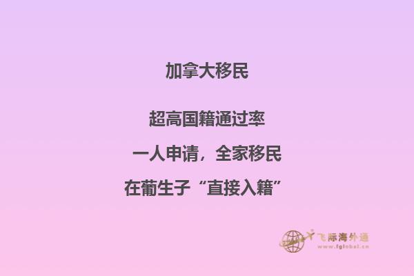 加拿大“市提名移民”即將上線，2020加拿大移民趨勢如何？
