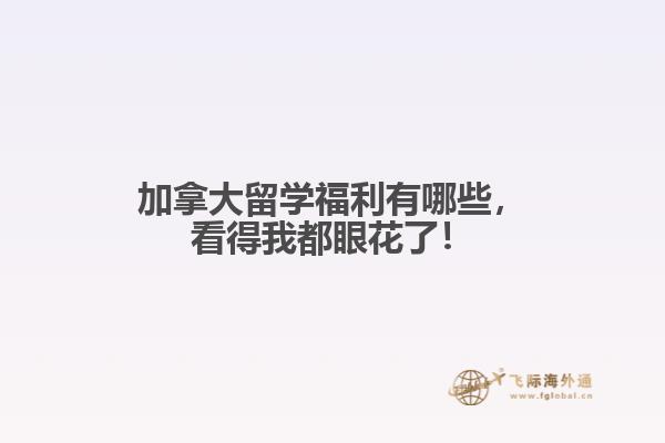 加拿大留學福利有哪些，看得我都眼花了！? 