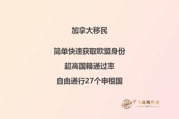 2020年高考生申請(qǐng)加拿大留學(xué)項(xiàng)目有哪幾種路線？