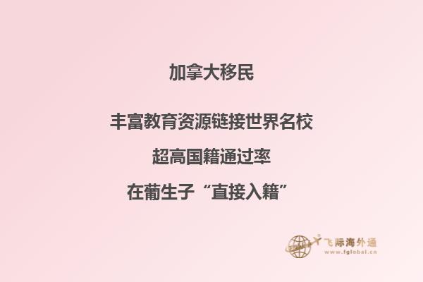 加拿大移民項(xiàng)目究竟適合哪些人？你不可不知！