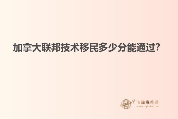 加拿大聯(lián)邦技術移民