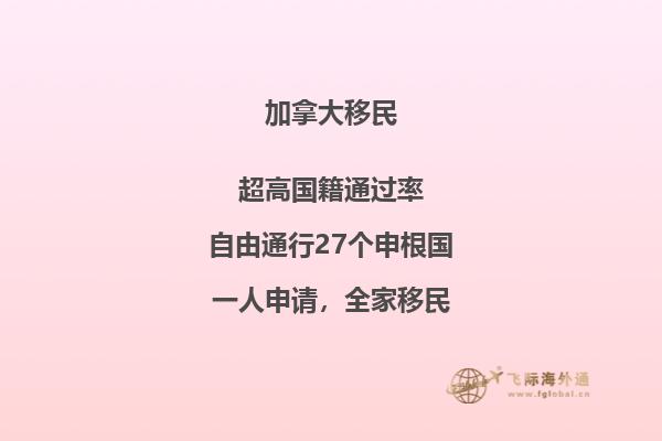 接到移民局背調(diào)電話怎么辦，如何輕松應(yīng)對(duì)移民局電話調(diào)查