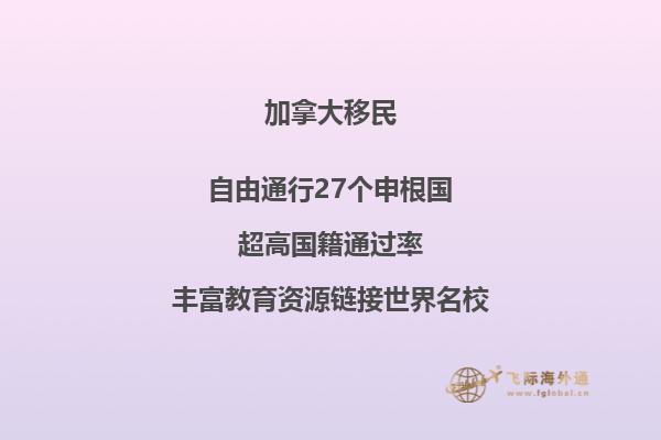 移民局背調(diào)電話注意事項，應對移民局背景調(diào)查方法