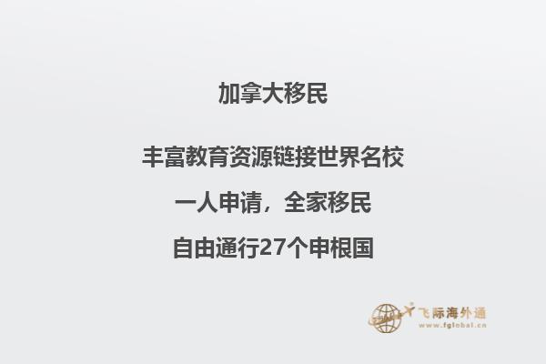 IT程序員移民加拿大哪個省好，哪些崗位加拿大緊缺！