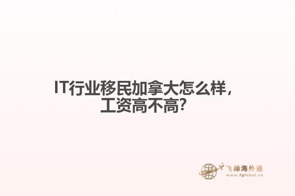 IT行業(yè)移民加拿大怎么樣，工資高不高？