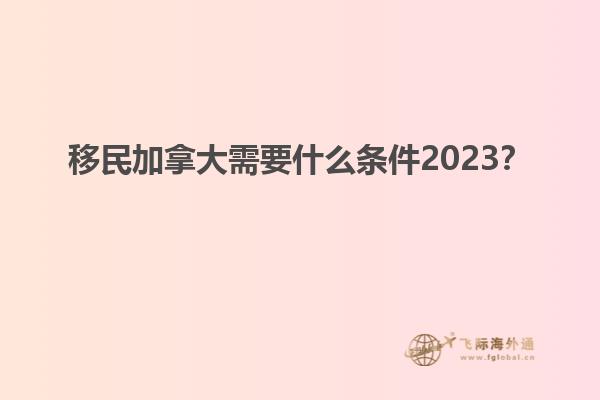 移民加拿大需要什么條件2023？
