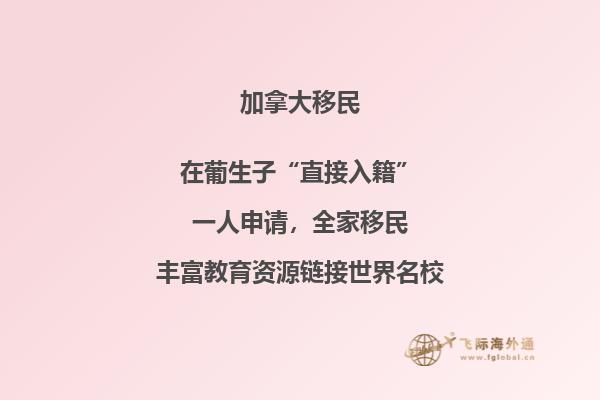 加拿大多倫多大學工程學院化學專業(yè)學習內容