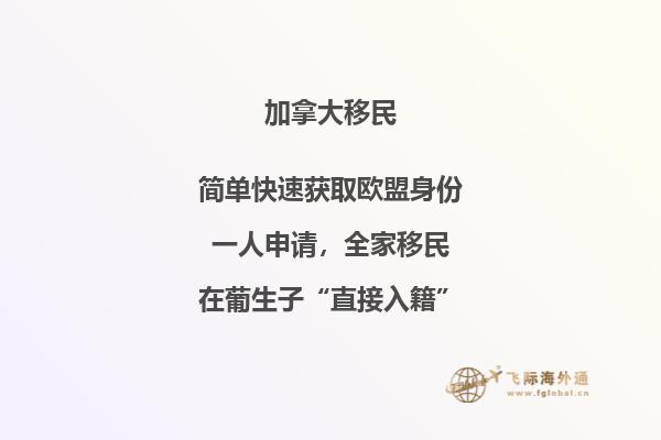 加拿大SUV移民條件，暢享加國自由與豪華！