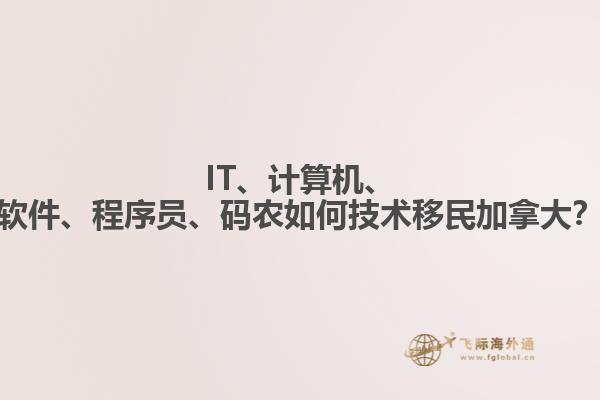 IT、計算機、軟件、程序員、碼農(nóng)如何技術(shù)移民加拿大？