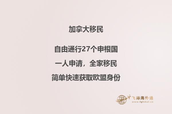 IT、計算機、軟件、程序員、碼農(nóng)如何技術(shù)移民加拿大？