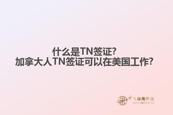 什么是TN簽證？加拿大人TN簽證可以在美國工作？