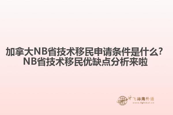 加拿大NB省技術(shù)移民申請條件是什么？NB省技術(shù)移民優(yōu)缺點分析來啦 