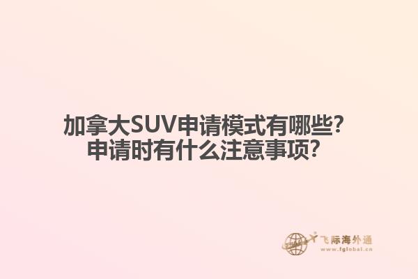 加拿大SUV申請模式有哪些？申請時有什么注意事項？