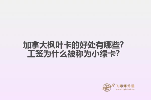 加拿大楓葉卡的好處有哪些？工簽為什么被稱為小綠卡？