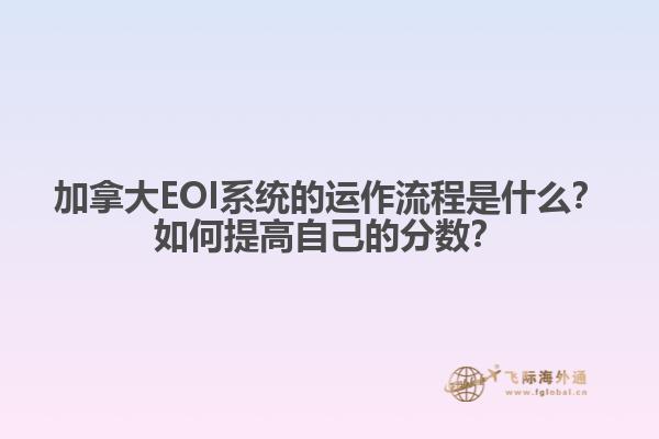 加拿大EOI系統(tǒng)的運作流程是什么？如何提高自己的分?jǐn)?shù)？