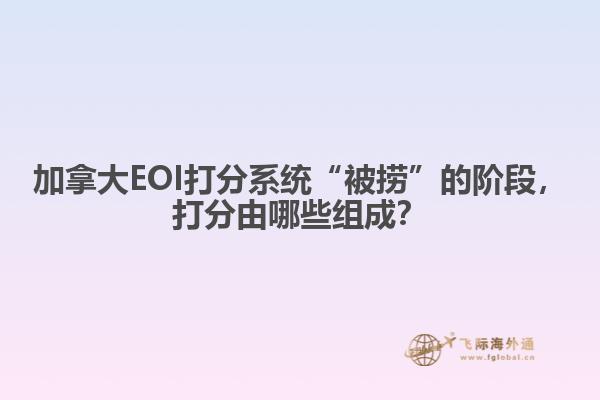 加拿大EOI打分系統(tǒng)“被撈”的階段，打分由哪些組成？
