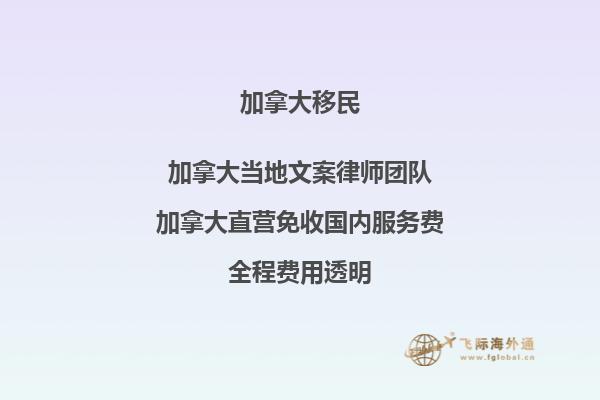 疫情對加拿大移民有何影響？如何應對？