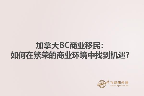 加拿大BC商業(yè)移民：如何在繁榮的商業(yè)環(huán)境中找到機遇？