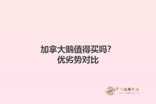加拿大鵝值得買嗎？優(yōu)劣勢對比