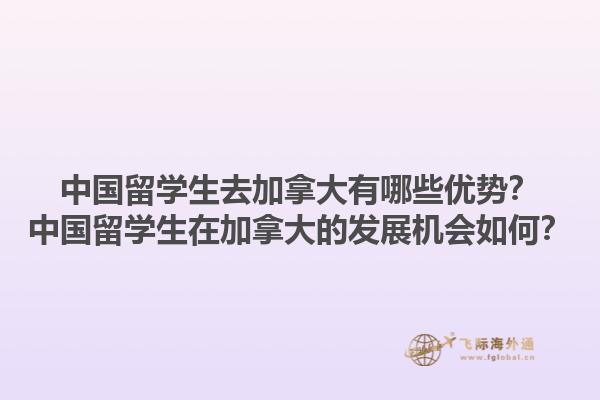中國留學(xué)生去加拿大有哪些優(yōu)勢？中國留學(xué)生在加拿大的發(fā)展機會如何？1.jpg
