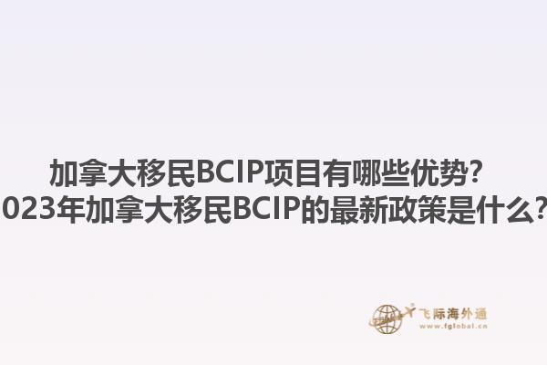 加拿大移民BCIP項(xiàng)目有哪些優(yōu)勢？2023年加拿大移民BCIP的最新政策是什么？1.jpg