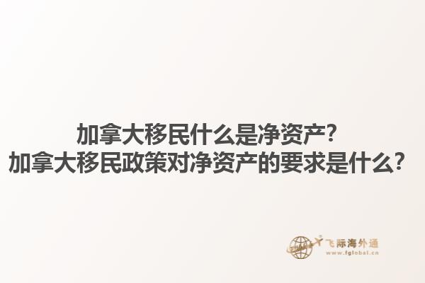 加拿大移民什么是凈資產(chǎn)？加拿大移民政策對(duì)凈資產(chǎn)的要求是什么？1.jpg