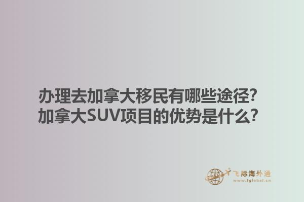 辦理去加拿大移民有哪些途徑？加拿大SUV項目的優(yōu)勢是什么？1.jpg