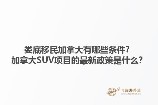 婁底移民加拿大有哪些條件？加拿大SUV項目的最新政策是什么？