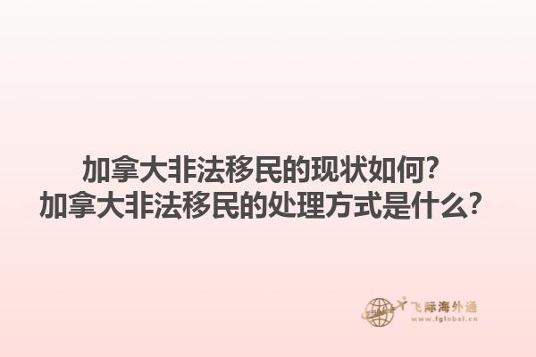 加拿大非法移民的現(xiàn)狀如何？加拿大非法移民的處理方式是什么？1.jpg
