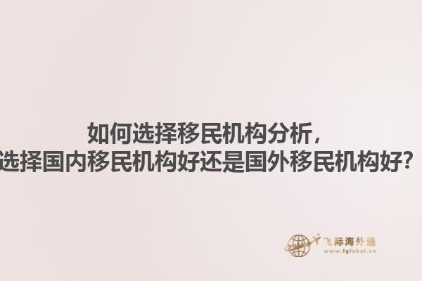 如何選擇移民機構(gòu)分析，選擇國內(nèi)移民機構(gòu)好還是國外移民機構(gòu)好？1.jpg