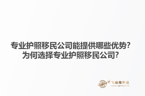 專業(yè)護照移民公司能提供哪些優(yōu)勢？為何選擇專業(yè)護照移民公司？1.jpg