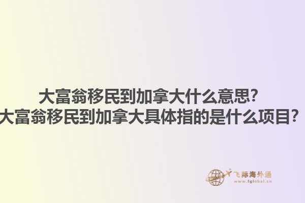 大富翁移民到加拿大什么意思？大富翁移民到加拿大具體指的是什么項(xiàng)目？1.jpg